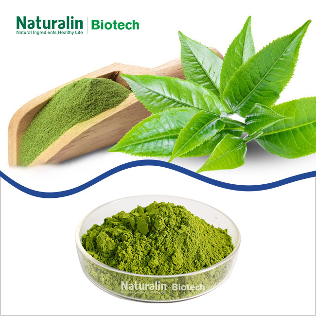 Matcha Tea Powder